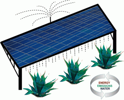 Dos en uno: fotovoltaica y biocombustibles