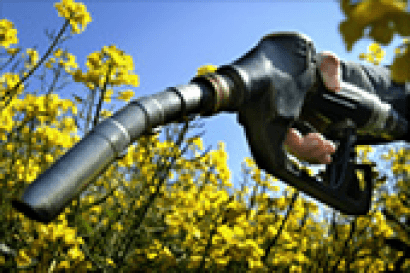 APPA Biocarburantes solicita que se amplíe urgentemente la asignación de cantidades de biodiésel
