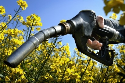 El Gobierno también recorta los objetivos de biocarburantes 
