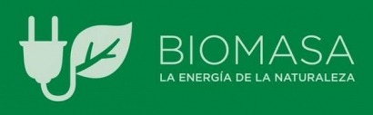 Bioplat insta a aprovechar las oportunidades tecnológicas de la bioenergía