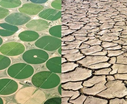 Water management key to sustainable biofuel development, says UN Water management key to sustainable biofuel development, says UN