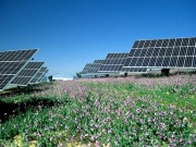 Acciona firma una instalación solar fotovoltaica de 7,2 MW