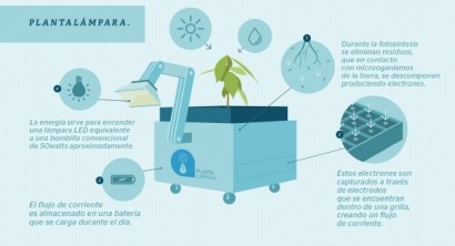 Plantas que dan luz, ¿nace una nueva energía renovable?