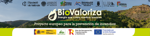 Biovaloriza, energía que cuida nuestros bosques