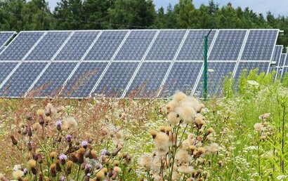 España registra un nuevo máximo de generación fotovoltaica en junio