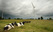Groups File Brief in Support of Lawsuit Against Ban on Wind Power