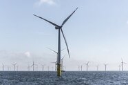 Octopus Energy partners with Skyborn to enter France