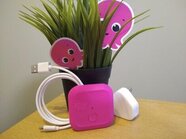 Octopus Energy Home Mini energy efficiency gadget proving increasingly popular Octopus Energy Home Mini energy efficiency gadget proving increasingly popular