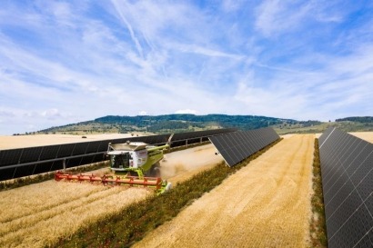 BayWa recibe 6,5 millones de financiación de la UE para desarrollar cinco parques agrovoltaicos