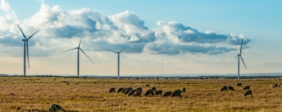 Acciona pone en marcha su cuarto parque eólico en Australia