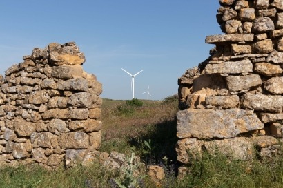 El sector eólico considera que el Real Decreto sobre avifauna pone en riesgo los objetivos del PNIEC