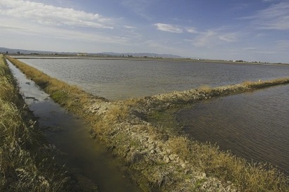 El Parque Natural del Delta del Ebro emplea energía solar para reducir la salinidad de sus aguas