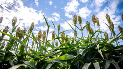 Estados Unidos anuncia 14 millones de dólares para apoyar la producción de biocombustibles 