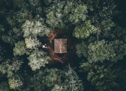 COSE advierte de que eliminar las ayudas a la biomasa primaria aumentará el riesgo de incendios