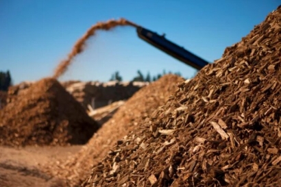 Valencia regula el aprovechamiento de biomasa forestal y vegetal