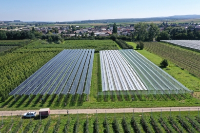 BayWa r.e. y Fraunhofer ISE desarrollan soluciones agro-fotovoltaicas para el sector frutícola