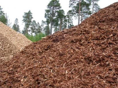 Usar biomasa en instalaciones deportivas permite un ahorro al año de hasta el 50%