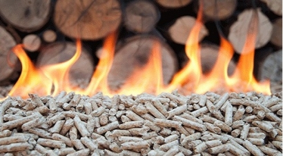 "La biomasa representa más del 80% de toda la energía renovable térmica en la Unión Europea"