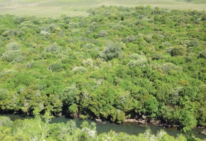 Uruguay lanza un bono verde ligado solo a indicadores ambientales