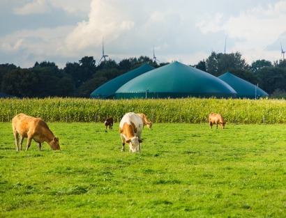 Cepsa Begins Activity in Development of Biomethane Production Plants