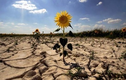 Brasil, India, China y Sudáfrica piden a los países ricos más fondos para el clima