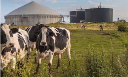 California’s Capstone Lands French Biogas-to-Energy Project 