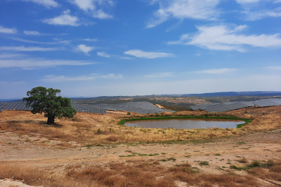 Iberdrola inicia la puesta en marcha de 100 nuevos megavatios solares en Extremadura