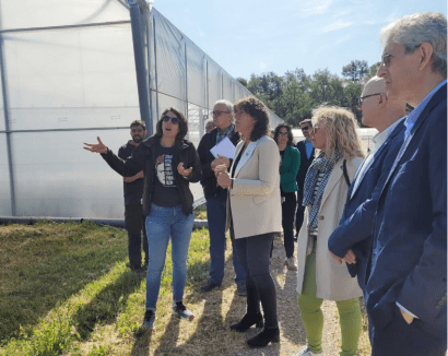 El centro de Forestal Catalana producirá astillas y pellets para abastecer calderas de biomasa de Lleida