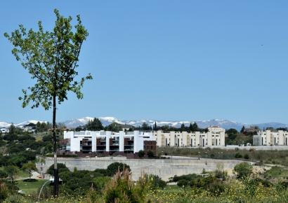 Los arquitectos técnicos de España, GBC y AEICE crean el Foro Edificios y Salud