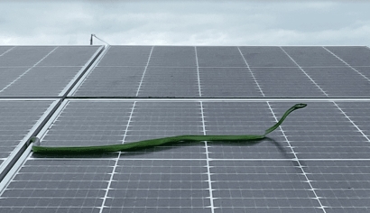 Estos son los diez motivos por los que la energía solar protege la  naturaleza