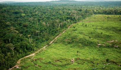 Zara y otras grandes marcas de moda alimentan la deforestación de la Amazonía, según un nuevo informe