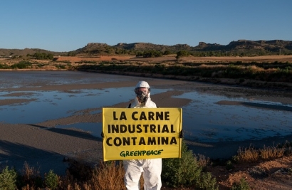 Greenpeace denuncia la "apuesta suicida" de la ganadería industrial en el Día Mundial de la Alimentación