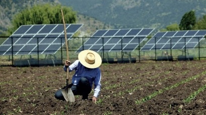 Dos miradas sobre la relación Renovables-Biodiversidad