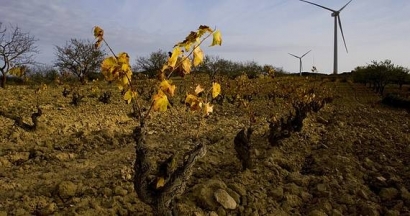 Las renovables generan a estas horas casi el 70% de la electricidad en España