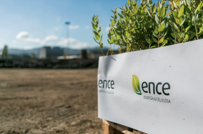  Ence recibe el premio ´Fomenta la Bioenergía 2023` 