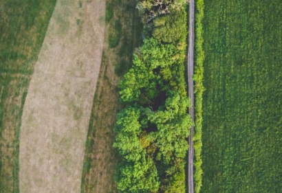 El Gobierno anuncia que las futuras evaluaciones ambientales serán “acordes con la normativa europea”