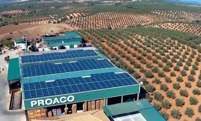 La agrícola Proaco amortizará su cubierta solar de autoconsumo de 200 kilovatios en cinco años