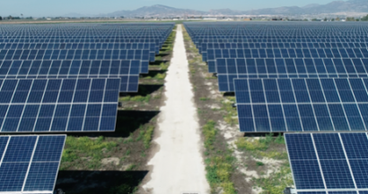 Endesa empieza a aplicar la agrivoltaica en cuatro plantas solares