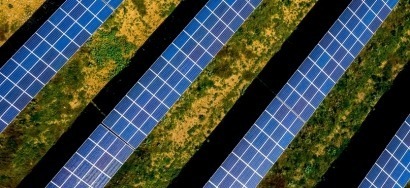 FieldFare Renewables gana 100 MW fotovoltaicos en la primera subasta de energía renovable de Argentina