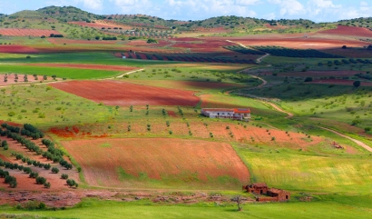 EcoJusta, la plataforma ciudadana que redefine el PNIEC para garantizar una transición verdaderamente ecológica justa