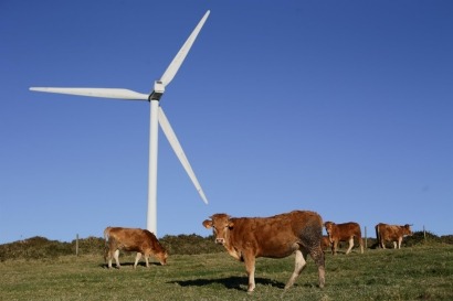 Castilla y León modificará la Ley para evitar plantas eólicas y fotovoltaicas en zonas de viñedo y cultivos