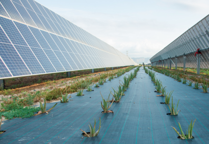 La energía solar de Endesa supera por primera vez el teravatio hora de producción