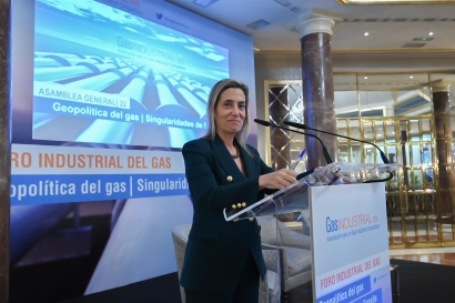 La industria reduce un 35% su demanda de gas