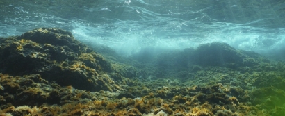 Greenalia completa en aguas canarias la campaña geofísica para su primer parque eólico flotante
