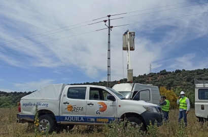 Eliminado el punto negro de electrocución de aves más letal de la provincia de Jaén