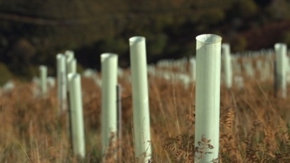 Red Eléctrica de España se inscribe en el Registro de Huella de Carbono