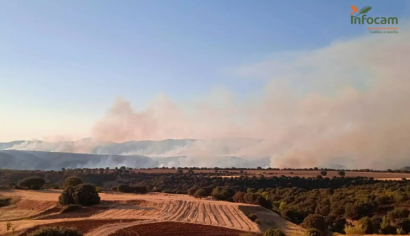 ¿Cómo puede ayudar la biomasa forestal a prevenir los incendios?