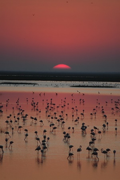 Ecologistas en Acción exige la paralización total del almacenamiento de gas natural en Doñana