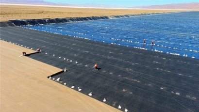 La minera Ganfeng instalará un parque solar de 150 MW en Argentina