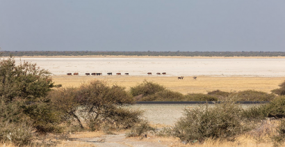 Botswana busca ofertas para construir 200 MW de termosolar